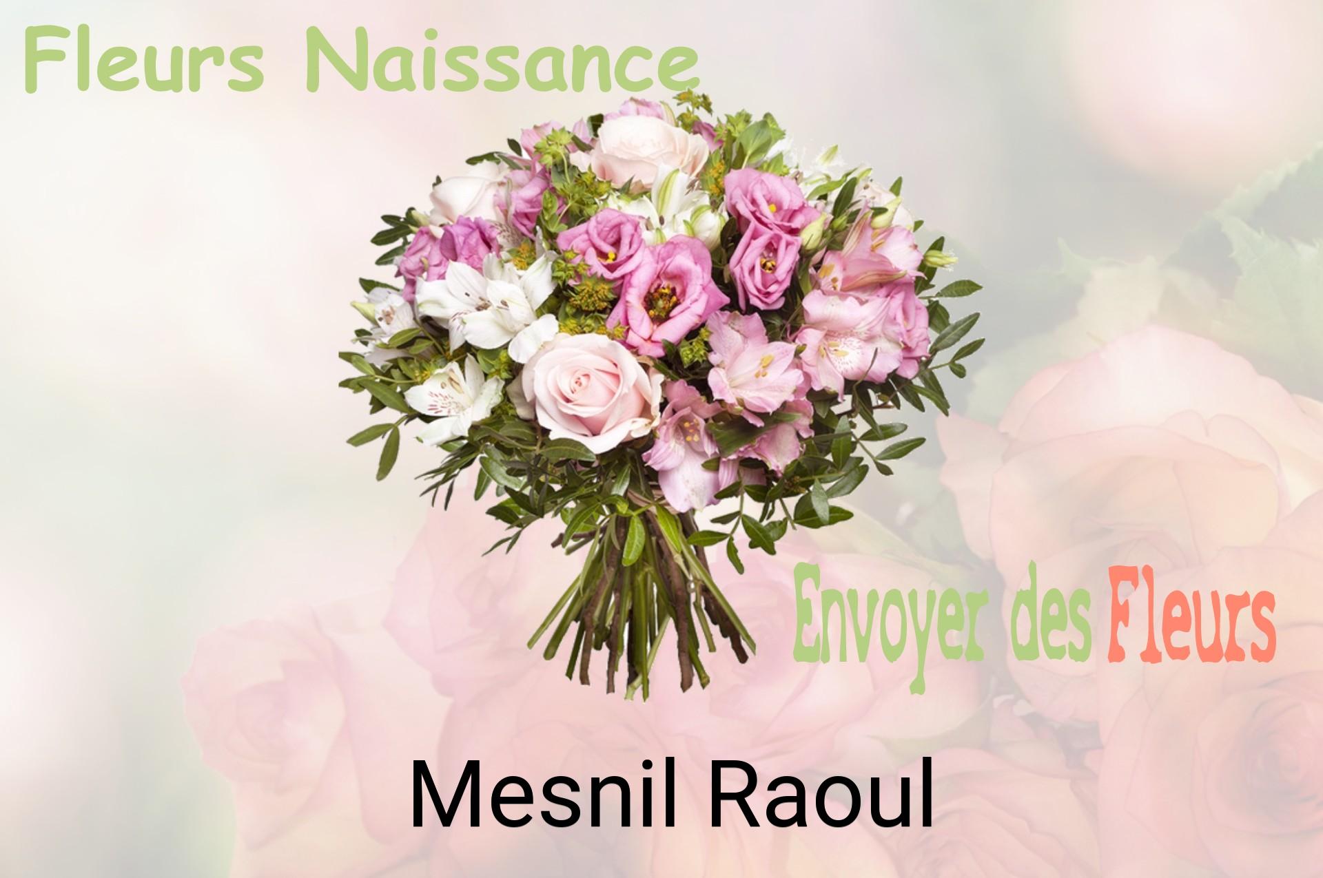 Bouquet de fleurs de naissance livré à Mesnil-Raoul